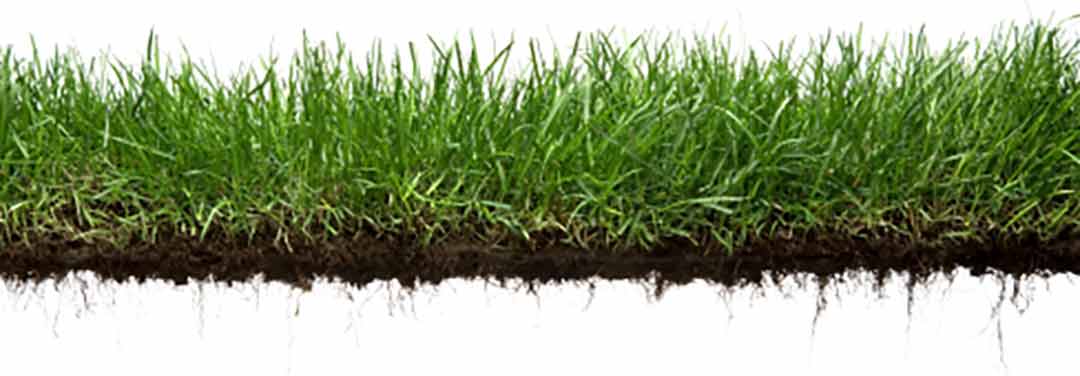 Orem UT soil and lawn sample
